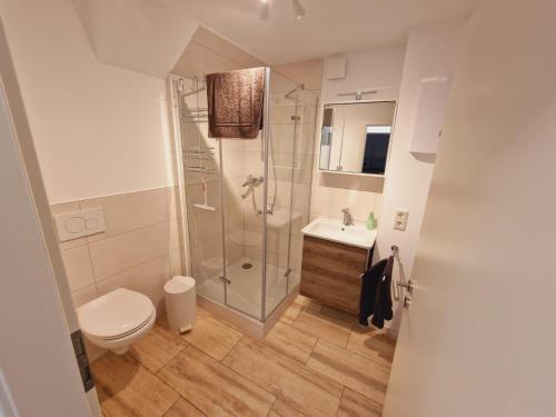 ein Bad mit einer Dusche, einem WC und einem Waschbecken in der Unterkunft Moselflair in Bernkastel-Kues