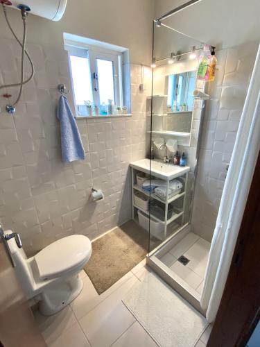 a bathroom with a shower and a toilet and a sink at Downtown apartment in Kamena Vourla
