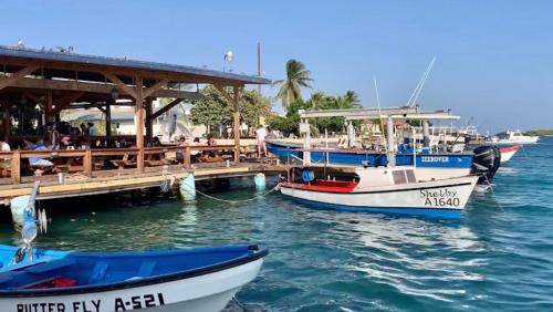 Landskap semula jadi dekat dengan homestay
