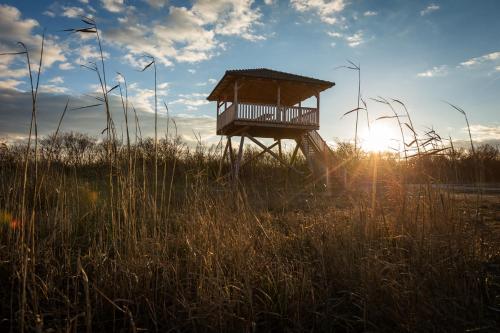 a lifeguard tower in a field of tall grass at AusZeit Neusiedlersee in Mörbisch am See