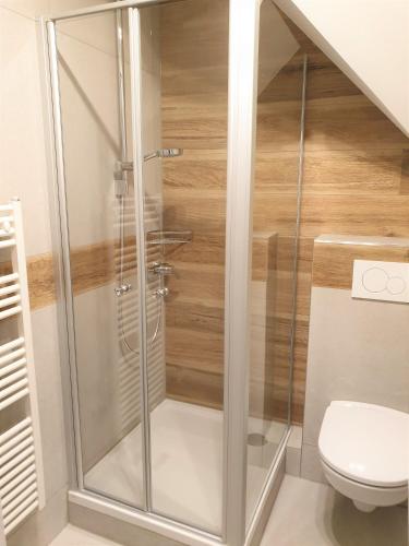 eine Dusche im Bad mit WC in der Unterkunft Vogels's Mühle in Scheßlitz