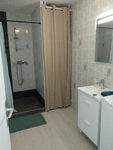 y baño con ducha y cortina de ducha. en La Petite Maison en Rezé