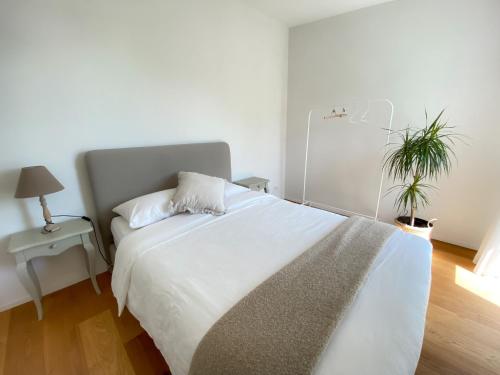 a bedroom with a large white bed and a plant at Lake View Homestay with Private Room and Bathroom in Châtillon