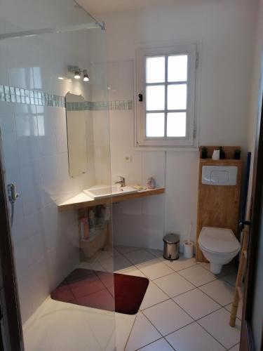 une salle de bain avec une douche, un lavabo et des toilettes dans l'établissement Charmante maison avec terrasse aux portes de l'Ardèche, à Pont-Saint-Esprit