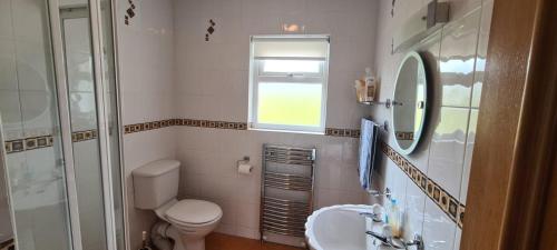 uma casa de banho com um WC, um lavatório e um espelho. em Mourneen Cottage, Cleggan em Cleggan
