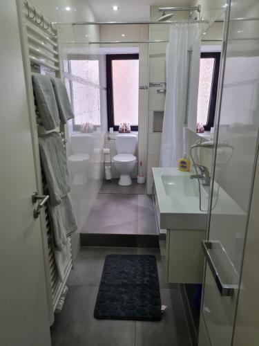 Un baño con inodoro, lavabo y ducha. en Alex, en Kassel