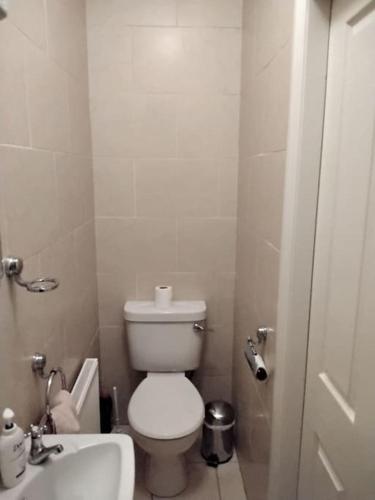 a small bathroom with a toilet and a sink at Townhouse Clifden: Located in the heart of Connemara in Clifden