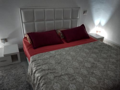 a bedroom with a large bed with red pillows at Silverwood in Tunis