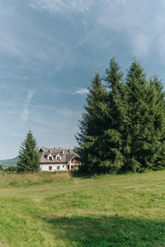 ホームステイの近くで見られる自然の景観