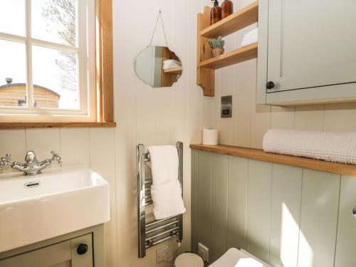 a bathroom with a sink and a toilet at Cherry Blossom in Bristol