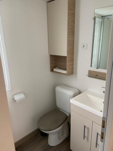 une salle de bain avec toilettes, lavabo et miroir dans l'établissement Au viviers camping Siblu sublime bungalow, à Claouey