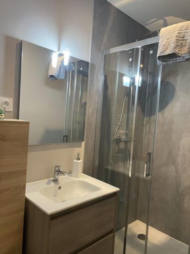 een badkamer met een wastafel en een douche bij Appartement équipé au centre de Bletterans in Bletterans