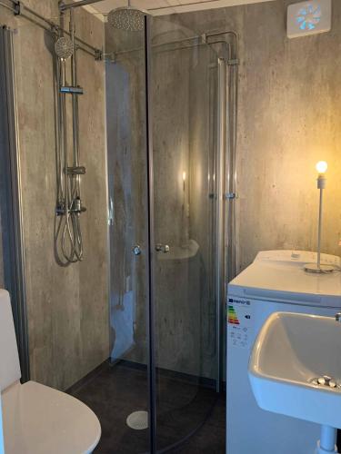 a bathroom with a shower and a toilet and a sink at Mysigt gårdshus på vackra Stensö in Kalmar
