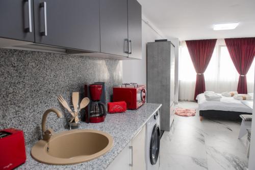 a kitchen with a sink and a room with a bed at Apart Hotel Center in Piatra Neamţ