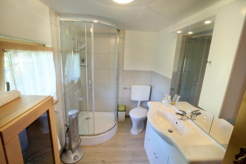 a bathroom with a shower and a sink and a toilet at Kellerstöckl Knusperhäuschen in Eltendorf