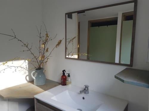 ein Badezimmer mit einem weißen Waschbecken und einem Spiegel in der Unterkunft Lovely 2-Bed shepherds hut in a Forest in Sougères-en-Puisaye