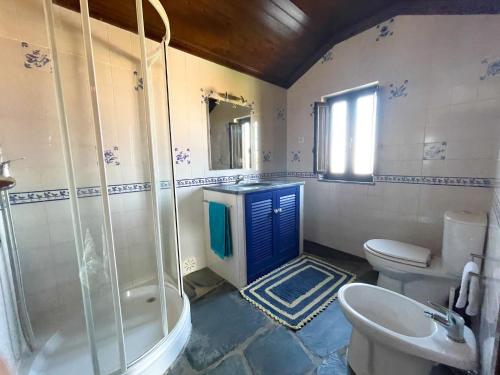 a bathroom with a shower and a toilet and a sink at Casinha de Xisto - Serra do Açor in Benfeita