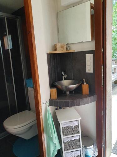a bathroom with a sink and a toilet at La Terrasse in Fully