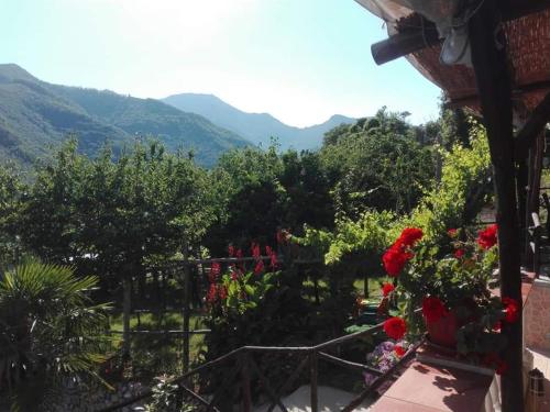 Vue générale sur la montagne ou vue sur la montagne depuis la maison de vacances