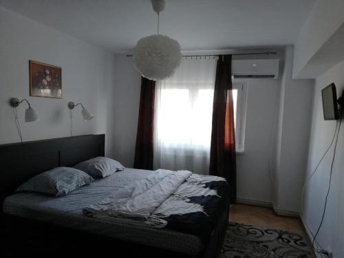 1 dormitorio con cama y ventana en Apartament Dodo, en Cluj-Napoca