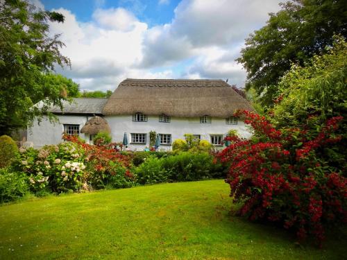 a white house with a thatched roof in a garden at The Barn and Pinn Cottage in Sidmouth