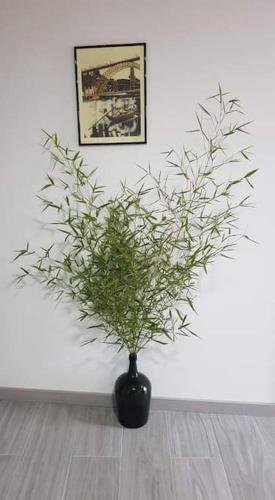 Gambar di galeri bagi Casa Moscatel - Douro Valley di Peso da Régua