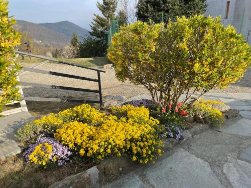 a bunch of flowers in front of a bench at Camere Villa Lunardini in Frassinetto