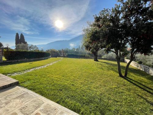 a field of grass with a tree in the middle at Affittacamere Il Vecchio Mandorlo in Quarrata