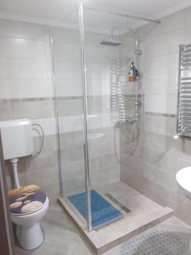 a bathroom with a shower and a toilet at La Zinculescu in Albeştii Pămînteni