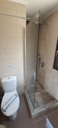 a bathroom with a toilet and a glass shower at Villa Molivos Castle in Mithymna