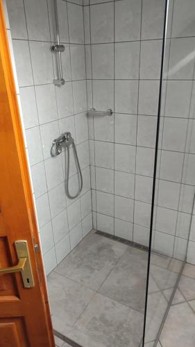 a bathroom with a shower with a glass door at Abigel Thermal Apartman in Bük