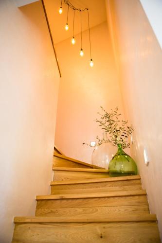a plant in a vase sitting on the stairs at Villa Piano - Učka Nature Park in Lupoglav