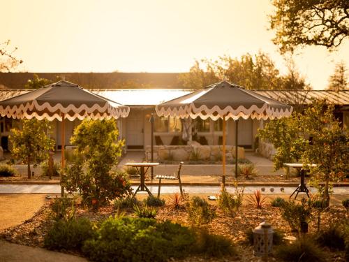 Zahrada ubytování Hotel Ynez