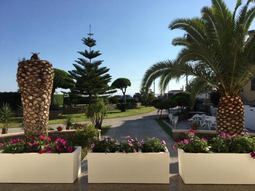 Gallery image of Citrarium B&B - Apartaments in Cetraro