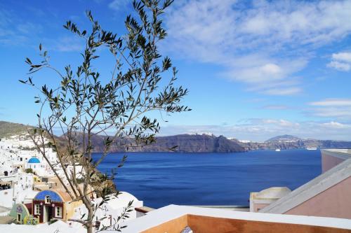 Villa Oasis Oia with Caldera View