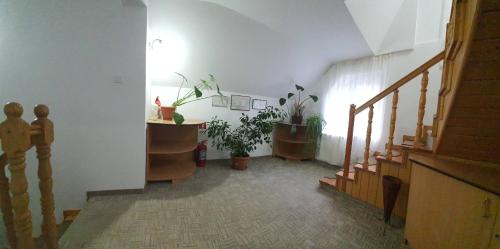 a hallway with stairs and potted plants in a building at Pensiunea Marydor in Gîrda de Sus