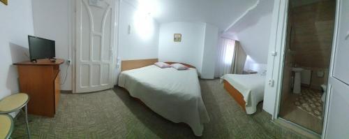 a hotel room with a bed and a television at Pensiunea Marydor in Gîrda de Sus