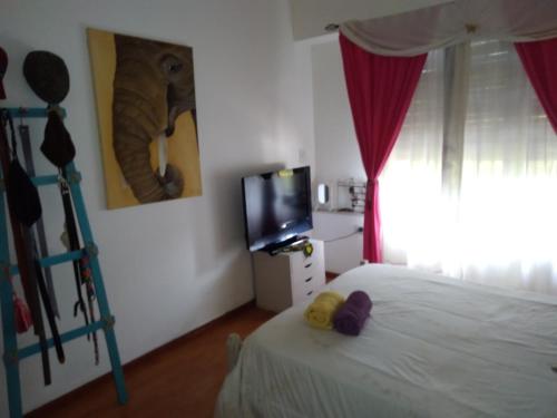 a bedroom with a bed with a television and an elephant on the wall at Mi Lugar en el Mundo in Buenos Aires
