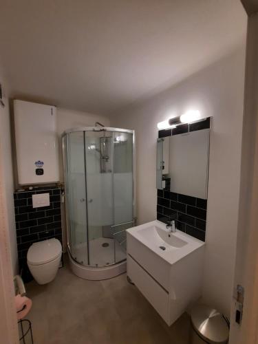 une salle de bain avec douche, lavabo et toilettes dans l'établissement Résidence Beauvau - Numéro 6 - Centre de SARLAT, à Sarlat-la-Canéda