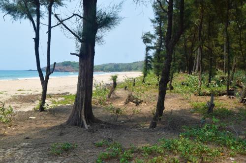 a beach with trees and the ocean in the background at Rama Niwas Beach Home Stay in Pawas