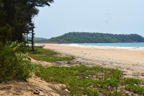 a sandy beach with trees and the ocean at Rama Niwas Beach Home Stay in Pawas