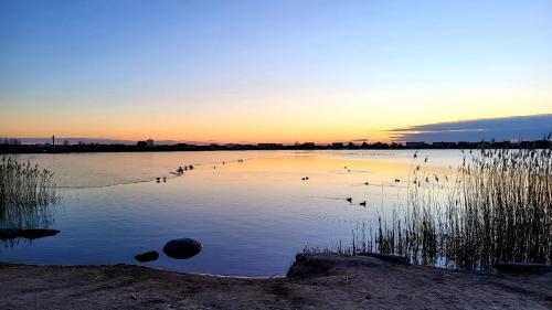 a lake with birds in the water at sunset at GoodNight Apartment Slengiai in Mozūriškiai