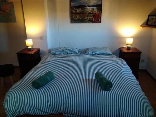 ein Schlafzimmer mit einem großen Bett mit zwei grünen Kissen in der Unterkunft Appartement Port Rose 2 in Leucate