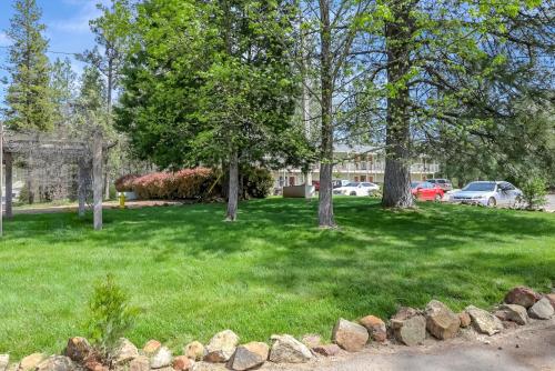 a grassy yard with trees and cars in a parking lot at Brownsville Motel in Brownsville