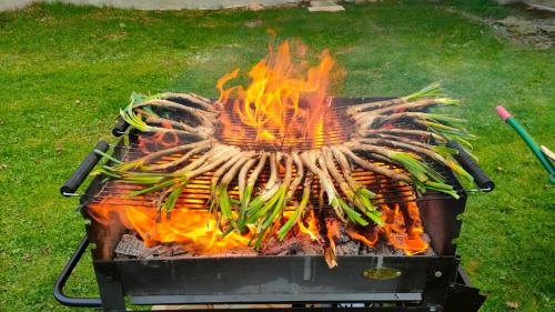 a grill with a bunch of food on it at Apartaments Cel i Fusta in Camprodon