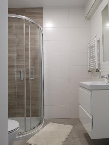 a bathroom with a shower and a toilet and a sink at Apartamenty Na Fali in Jastarnia