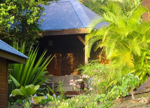 a garden with palm trees and plants in front of a house at Le matelot de la baie in Deshaies