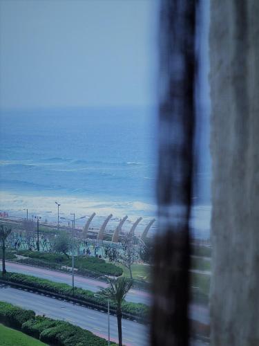 a view of a road with palm trees and the ocean at Rotem Home in Haifa