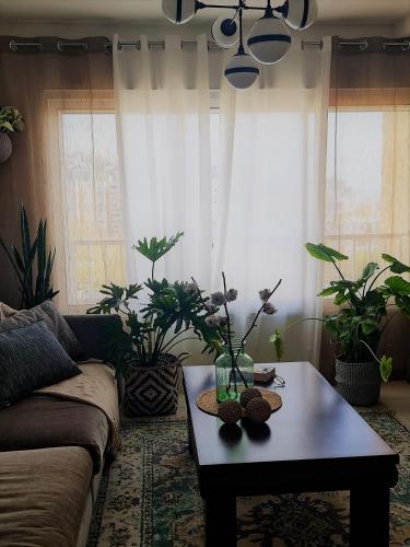 a living room with a couch and a table with plants at Rotem Home in Haifa