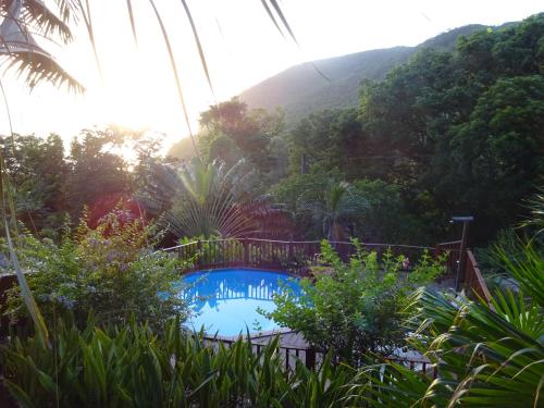 a pool in a garden with a mountain in the background at Le matelot de la baie in Deshaies